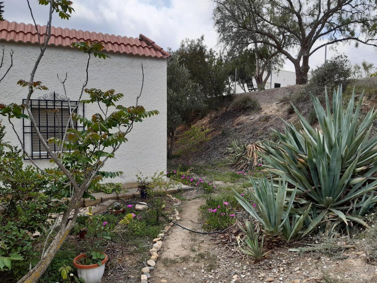 Cortijo Aire Del Desierto Rustico Y Tranquilo Entre El Mar Y Desierto - Alborania Villa Pechina Ngoại thất bức ảnh